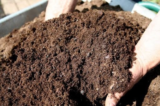 Cách Trộn Đất Trồng Rau Sân Thượng Tơi Xốp Bằng Vỏ Đậu Phộng